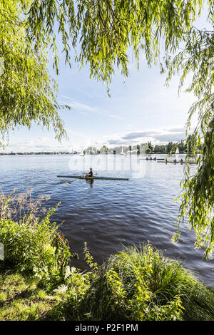 Scullers e barche sul Alster esterno, Amburgo, Germania settentrionale, Germania Foto Stock