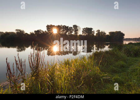Birtener Altrhein, vecchio braccio del fiume Reno, vicino a Xanten, Basso Reno, Renania settentrionale Vestfalia, Germania Foto Stock