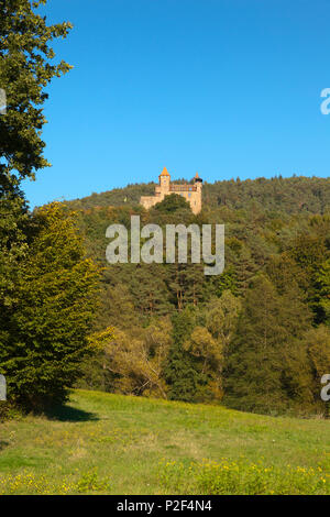 Berwartstein Castello, vicino a Erlenbach, Dahner Felsenland, Foresta del Palatinato natura park, Renania-Palatinato, Germania Foto Stock