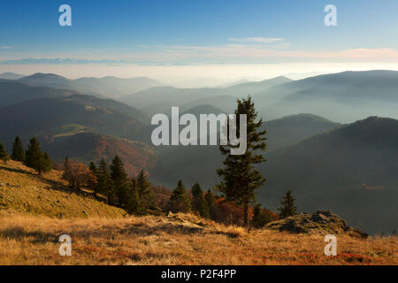 Vista da sopra Belchen Kleines Wiesental verso le Alpi, Foresta Nera, Baden-Wuerttemberg, Germania Foto Stock