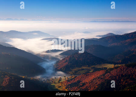 La nebbia oltre Kleines Wiesental, vista da Belchen verso le Alpi, Foresta Nera, Baden-Wuerttemberg, Germania Foto Stock