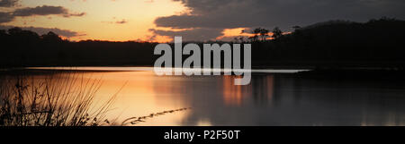 Vista lago cathie nsw dal pesce persico foro sul tramonto tramonto sull'acqua. splendido lago e riflessi. Foto Stock