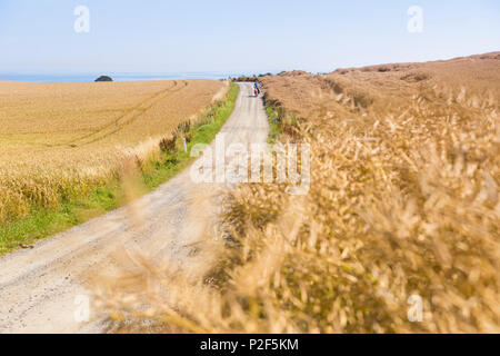 Madre e figlio su un tour in bicicletta, Mar Baltico, Signor, Bornholm, vicino Allinge, Danimarca, Europa Foto Stock