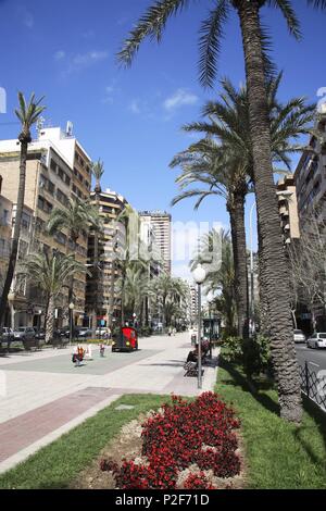 Spagna - Valencia regione autonoma - L'Alacantí (distretto) - Alicante. Alicante (capitale); Avenida del dottor Gadea. Foto Stock