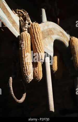 Spagna - Catalogna - Baix Empordá (distretto) - Gerona. Palau-Sator; detalle. Foto Stock