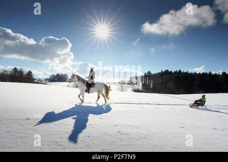 Madre sul cavallo tirando i bambini sulla slitta, Buchensee, Muensing, Baviera Germania Foto Stock