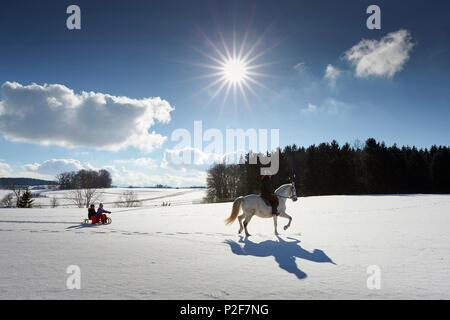 Madre sul cavallo tirando i bambini sulla slitta, Buchensee, Muensing, Baviera Germania Foto Stock
