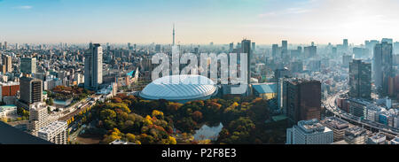 Tokyo Dome Koishikawa Korakuen Skytree e in autunno con la nebbia di mattina, Bunkyo-ku, Tokyo, Giappone Foto Stock