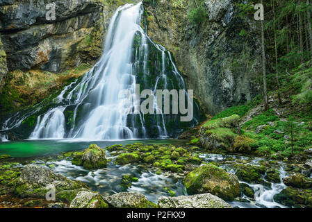 Cascata cascading in stagno verde, Gollinger Wasserfall, Golling, gamma di Berchtesgaden, Salisburgo, Austria Foto Stock