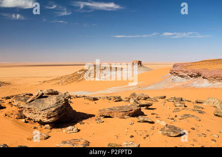 Deserto Libico, deserto pietroso, montagne Akakus, Libia, sahara Africa del Nord Foto Stock