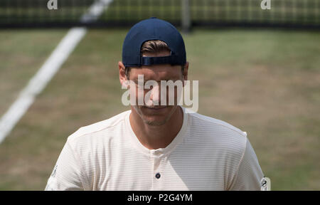 Stuttgart, Germania. Il 15 giugno, 2018. 15 giugno 2018, Germania, Stuttgart: Tennis, ATP-Tour, uomini singoli, quarti di finale. Il ceco Tomas BERDYCH reagisce. Credito: Marijan Murat/dpa/Alamy Live News Foto Stock