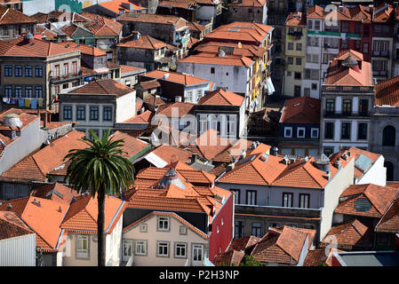 Vista dalla torre della chiesa Clerigos, Porto, Portogallo Foto Stock