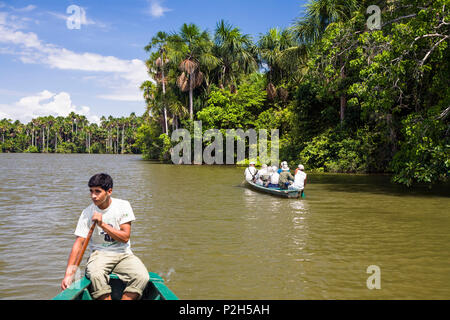 La barca turistica e Mauriti Palme, Buriti, palme Moriche, al Lago Sandoval, Mauritia flexuosa, Tambopata National Reserve, Per Foto Stock