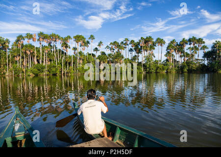 Barca e Mauriti Palme, Buriti, palme Moriche, al Lago Sandoval, Mauritia flexuosa, Tambopata National Reserve, Perù, Sud Foto Stock