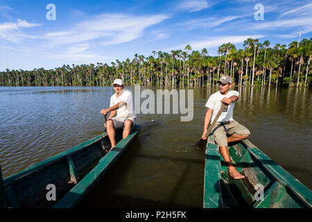 La barca turistica e Mauriti Palme, Buriti, palme Moriche, al Lago Sandoval, Mauritia flexuosa, Tambopata National Reserve, Per Foto Stock