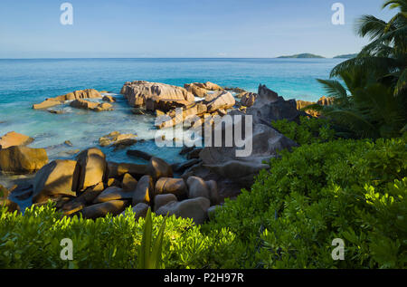 Anse Patates, La Digue Island, Seicelle Foto Stock