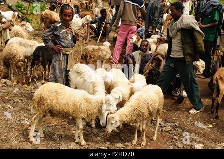 LALIBELA, Etiopia - 31 agosto 2013: Locale popolo etiope essendo un operatore del mercato nella città di Lalibela in Etiopia Foto Stock