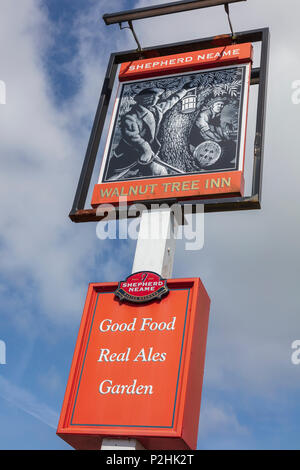 Il Walnut Tree pub segno, un pastore Neame pub di Aldington, Kent, Regno Unito Foto Stock