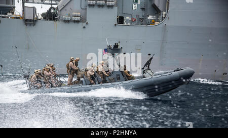 In mare (12 settembre 2016) - Marines con Raid marittimo vigore, undicesimo Marine Expeditionary Unit, giro in una rigida a scafo gommone a fianco della USS Comstock (LHD 45) prima di una visita, scheda, ricerca e sequestro eseguito missione al largo della costa della isola di San Clemente, California, come parte della XI MEU certificazione dell esercizio, Sett. 13, 2016. Durante la missione il Comstock ha agito come l'imbracciatura nave, fornendo il comando, controllo e qualsiasi supporto aggiuntivo per il anfibi e gli elementi dell'aria. (US Marine Corps foto di Lance Cpl. Devan K. Gowans/rilasciato) Foto Stock