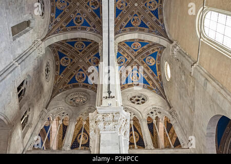 Lucca, Toscana, Italia. I soffitti affrescati e lo scavalcamento in 14c interno del Duomo (Cattedrale), conosciuta come la Cattedrale di San Martino Foto Stock