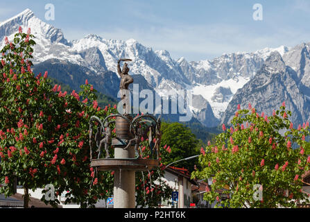 Fontana con la scultura della tradizionale Coopers danza, montagne del Wetterstein, Zugspitze, Castagno fiorisce in primavera, Partenkirche Foto Stock