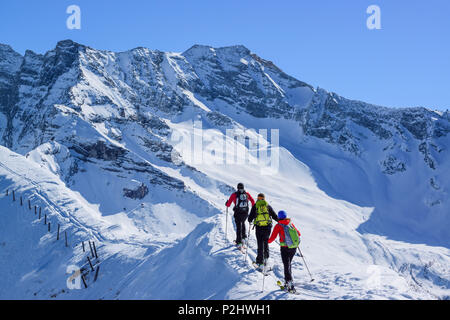 Tre persone indietro-paese ascendente di sci sulla neve-ridge, Alpi della Zillertal in background, Gammerspitze, valle di Schmirn, Ziller Foto Stock