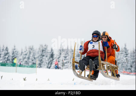 Tradizionale gara di sled, Waldau, Titisee-Neustadt, Foresta Nera, Baden-Wuerttemberg, Germania Foto Stock