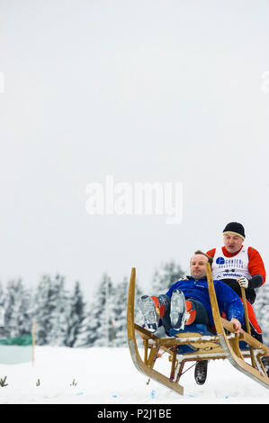 Tradizionale gara di sled, Waldau, Titisee-Neustadt, Foresta Nera, Baden-Wuerttemberg, Germania Foto Stock