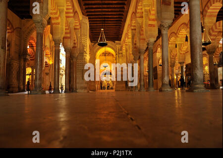 Le colonne all'interno della Mezquita di Cordova, Andalusia, Spagna Foto Stock