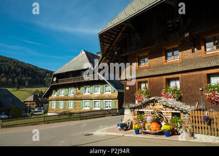 Menzenschwand, San Blasien, Foresta Nera, Baden-Wuerttemberg, Germania Foto Stock