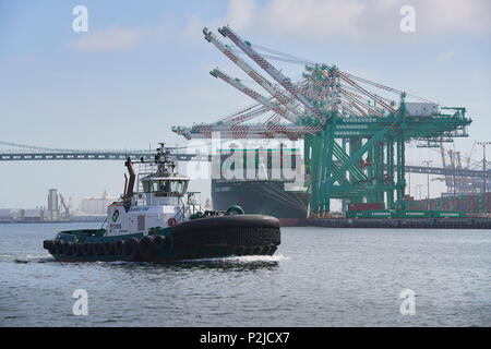 FOSS ibrido marittima rimorchiatore, CAMPBELL FOSS, passando la nave portacontainer, mai indulgenza, il carico e lo scarico all'EVERPORT nel porto di Los Angeles. Foto Stock