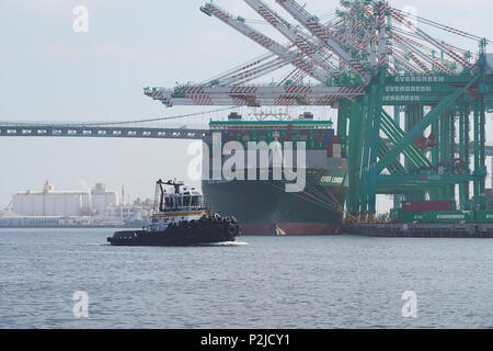 Trattore rimorchiatore GIOVANNI QUIGG passando la nave portacontainer, mai indulgenza, il carico e lo scarico all'EVERPORT nel porto di Los Angeles, California, USA. Foto Stock