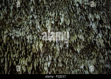 Innumerevoli stalattiti linea il soffitto del Suytun cenote vicino a Chichen Itza nello Yucatan, Messico. Foto Stock