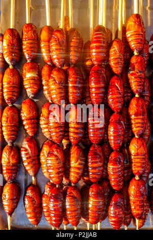 Grill e fritto silkworm pupe su stick da Wangfujing street a Pechino, Cina Foto Stock