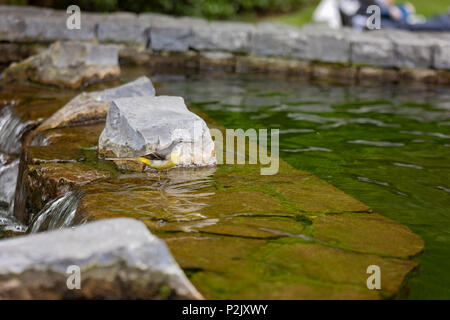 Giubileo Park, Canary Wharf, Londra Foto Stock