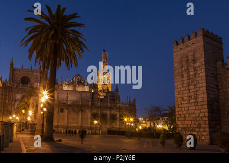 Cattedrale di Siviglia e Plaza del Triunfo a tarda sera: Sevilla, Andalusia, Spagna Foto Stock