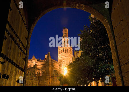 La torre Giralda della cattedrale di Siviglia e Plaza del Triunfo dall'Ingresso al Plaza Patio de Banderas Foto Stock