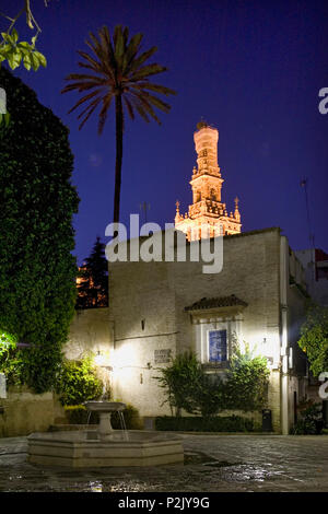 Fontana al centro di un deserto Plaza de la Alianza, Barrio de Santa Cruz, Sevilla, Andalusia, Spagna, di notte Foto Stock