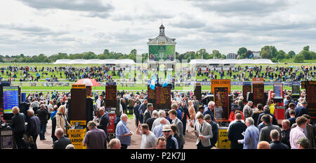 York corse incontro, York racecourse, North Yorkshire, nell'Inghilterra del Nord, Regno Unito Foto Stock