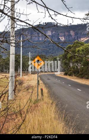 Canguro segno di avvertimento dal lato della strada in Australia rurale Foto Stock