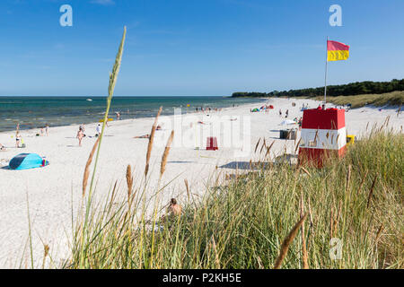 Balka Beach, popolare baia con spiaggia di sabbia, estate, Mar Baltico, Bornholm, vicino Snogebaek, Danimarca, Europa Foto Stock