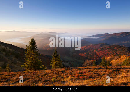 Vista da sopra Belchen Kleines Wiesental verso le Alpi, Foresta Nera, Baden-Wuerttemberg, Germania Foto Stock