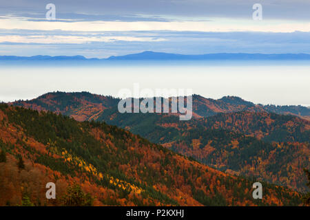 Nebbia sulla valle del Reno, vista da Belchen sopra la valle del Reno verso i Vosgi e la Foresta Nera, Baden-Wuerttemberg, Germania Foto Stock