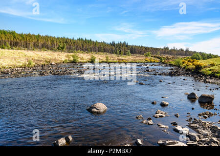 Il fiume Naver in Sutherland, Scozia. 27 Maggio 2018 Foto Stock