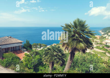 2018, 12 maggio, Banyalbufar, Maiorca, Spagna. Due alberi di palma e bella vista verso il mare Mediterraneo. Banyalbufar è un piccolo villaggio costiero in S Foto Stock