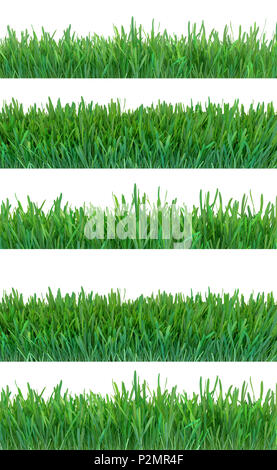 Erba verde banner set. La natura dello sfondo. Prato. Primavera, Estate stagione. La crescita di pianta rendering 3d. Foto Stock