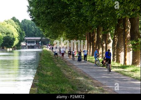 Francia, Marne, Reims, ciclisti e persone a piedi lungo il canale e la strada verde Foto Stock