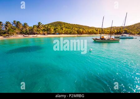 Caraibi, Piccole Antille, Saint Vincent e Grenadine, Mayreau Isola, Salt Whistle Bay Beach e Coconut Grove Foto Stock