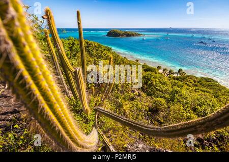 Caraibi, Piccole Antille, Saint Vincent e Grenadine, Isola di Jamesby visto da Petit Rameau, isola di Tobago Cays, cactus (Cereus royeni) in primo piano Foto Stock