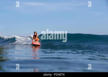 Giovani femmine surfer wave riding sulla tavola da surf Foto Stock